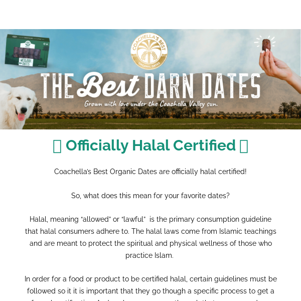 🎉 We are Halal Certified  🎉