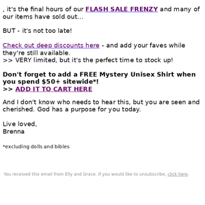 🚨 FLASH SALE FRENZY: FINAL HOURS!