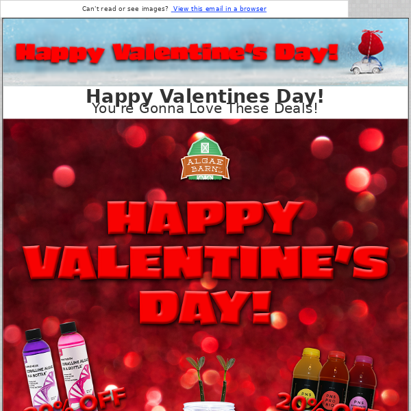 Happy Valentines Day - Save 20% on Tons of Great Products!