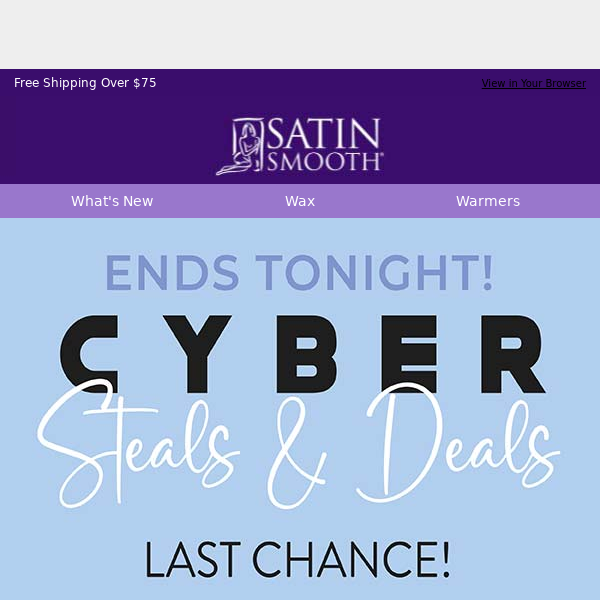 Last Chance for Cyber Sale Saving!
