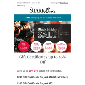 📣🚨 Gift Certificates on SALE! + Hundreds of ways to save during BLACK FRIDAY