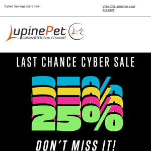 🐾 Last Chance for Cyber Savings