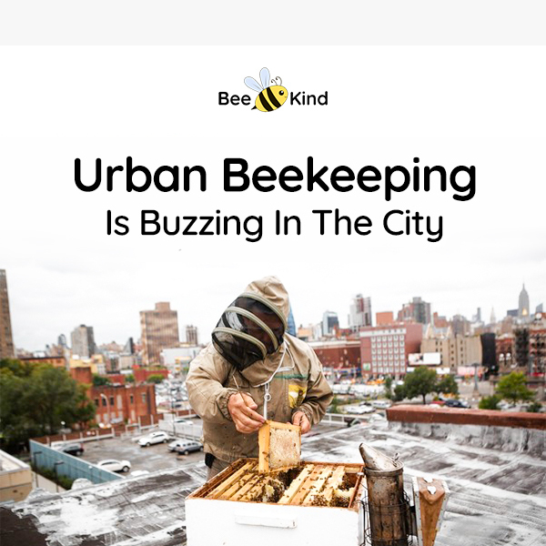 Unleash Your Inner Beekeeper in the City! 🍯