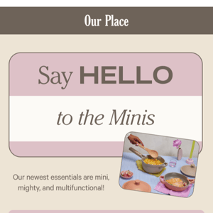 Meet the Minis!