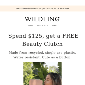 FREE Beauty Clutch, With $125 Purchase ✨