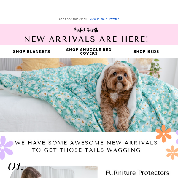 Pre-order FURniture protectors, blankets, bed covers and more! 💝🐕