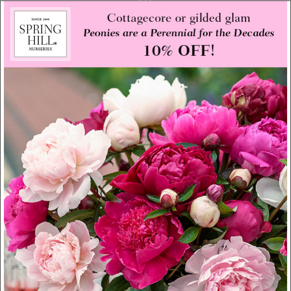 Final weekend to get 10% off all peonies for a touch of "elevated vintage"