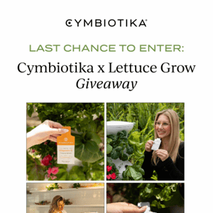 LAST CHANCE: Lettuce Grow Giveaway 🌱