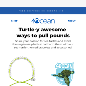 👀INSIDE: Turtle-y Awesome Ways to Pull Pounds