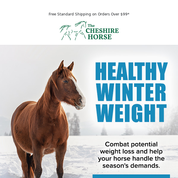 Ensure a Happy, Healthy Winter for Your Horse.