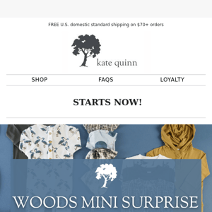 Woods Mini Surprise | STARTS NOW!