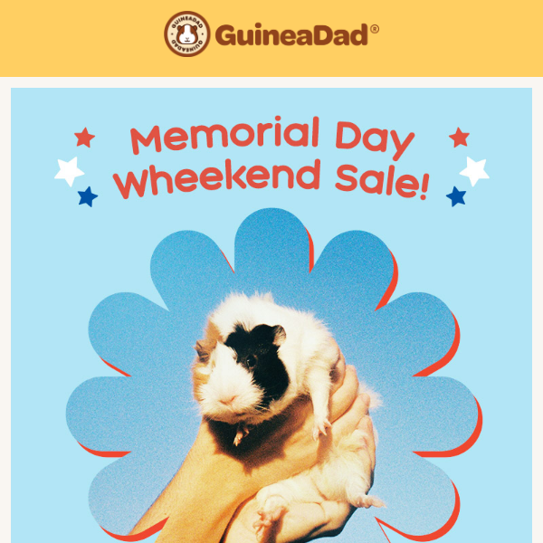 Memorial Day Sale: $15 Off Order Over $150!