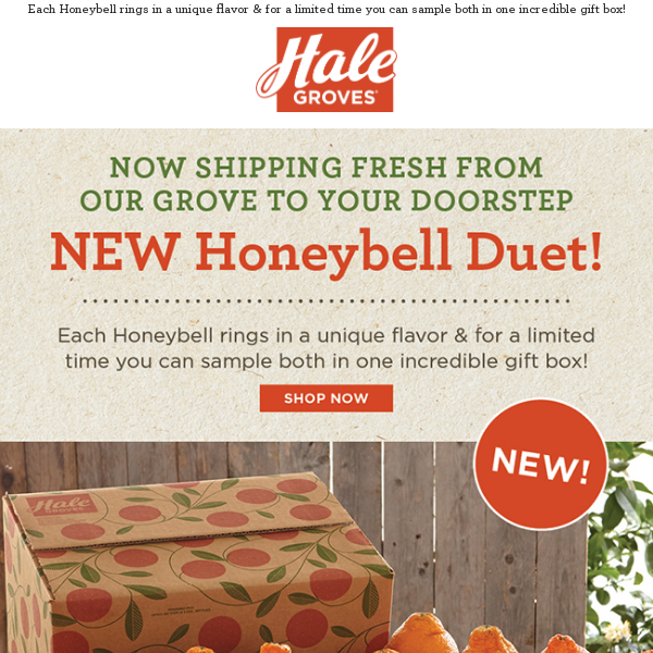 Now Shipping Fresh from our Grove to Your Doorstep - Our NEW Honeybell Duet!