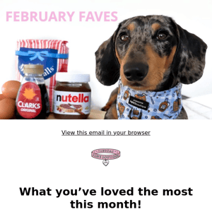February Favourites For Your Dog!🐶