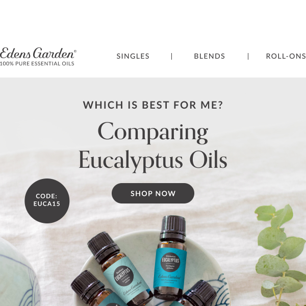 1 Day Only | 15% Off Eucalyptus Oils
