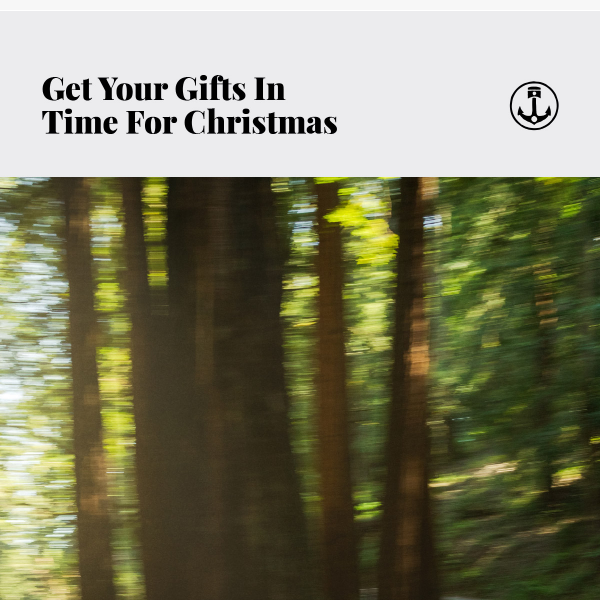 🌲 Gifts Guaranteed For Christmas Arrival