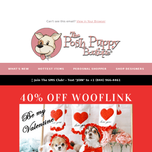 😍 Sweet deal! 40% Off New Wooflink starting NOW!