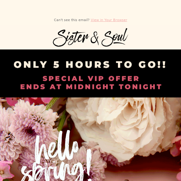 Hurry! Spring 𝗩𝗜𝗣 𝗢𝗙𝗙𝗘𝗥 Ends At Midnight! ⏰