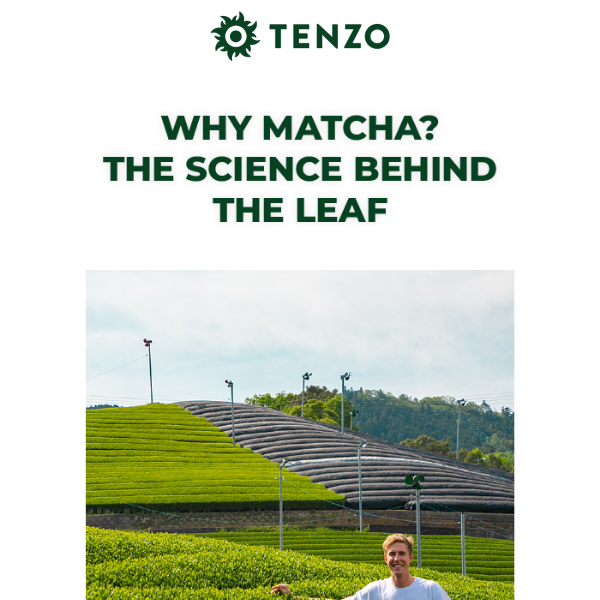 Unlock the Secrets: The Science Behind Tenzo Matcha 🍵