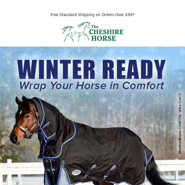 Ready for Cool Temps? Shop Horse Blankets