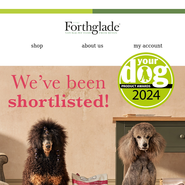 We've been shortlisted ‼️ Your Dog Awards 2024