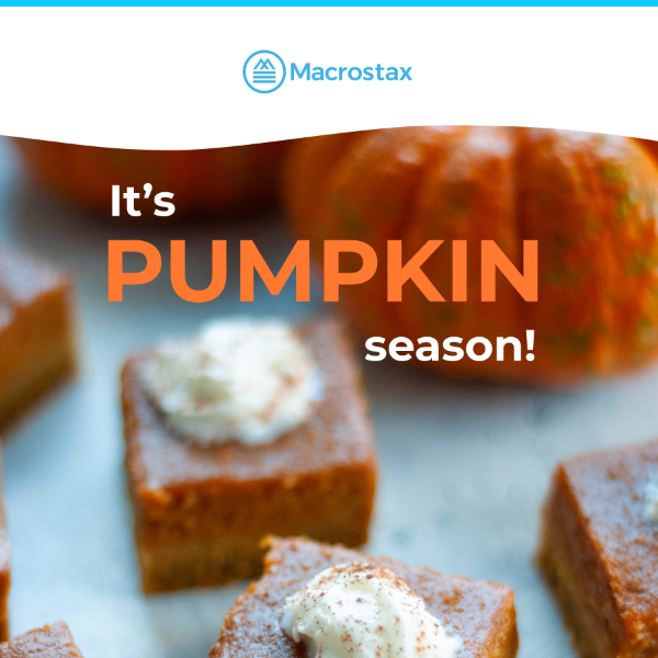 Pumpkin season is upon us!
