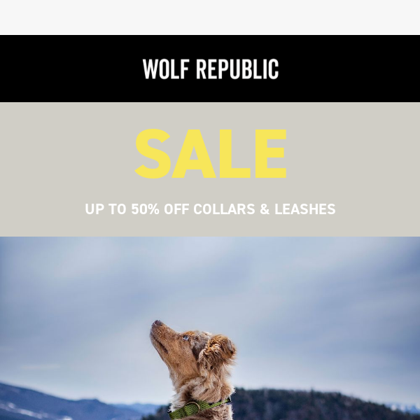 SALE: Up to 50% Off Collar & Leashes