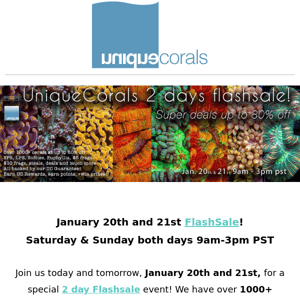 1000+ WYSIWYG corals at up to 80%+ off ! Starting now ! Join us for day 1 of 2 during this exclusive flashsale !  ﻿ ﻿ 　　