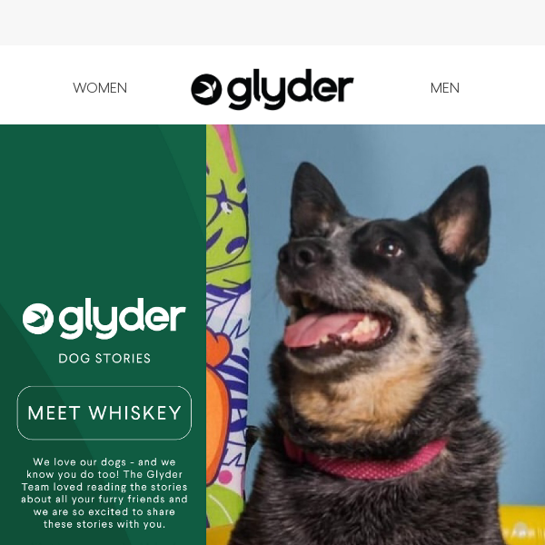 Meet Whiskey, Glyder Dog of the Month! 🐶