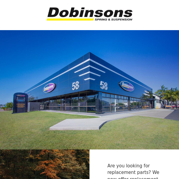Dobinsons Product News!