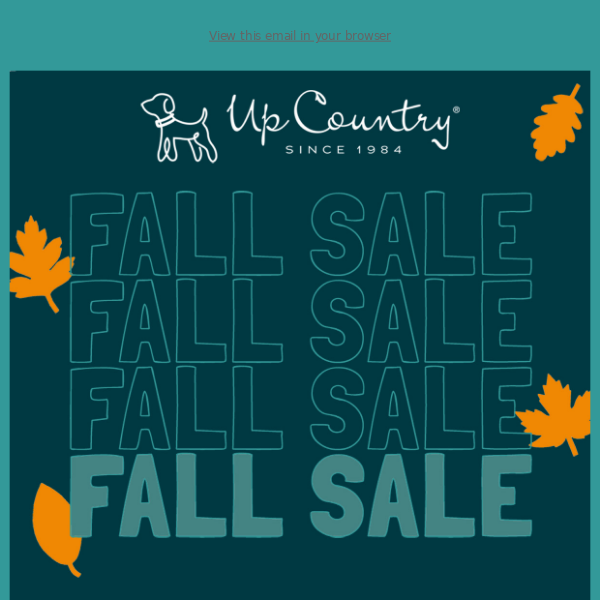 FALL SALE 🍂