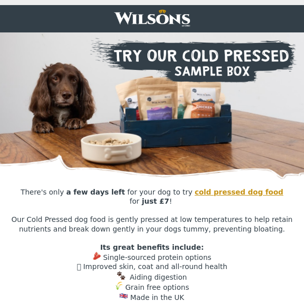 Last chance to sample Wilsons for just £7! 🐶