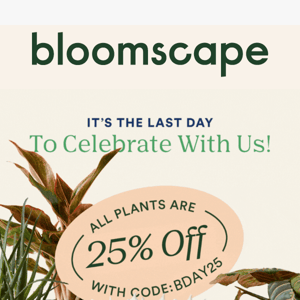 Final Day! Enjoy 25% off ALL plants 🎉🎂