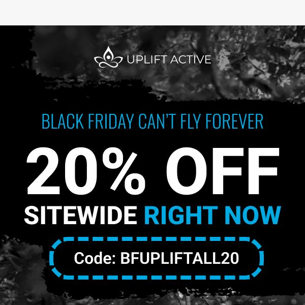 🦋 Save 20% on everything aerial right now