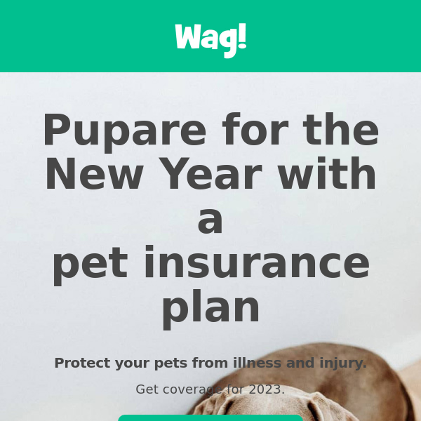 Free Pet Insurance Quotes