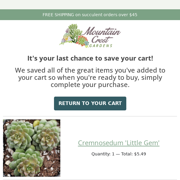 Your cart is about to expire!