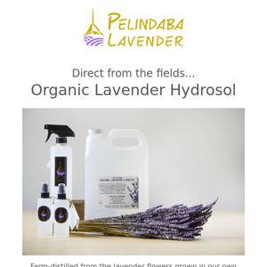 Direct from the plant - Lavender Hydrosol