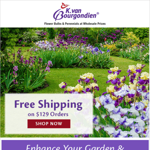 A shipping offer not to be missed!