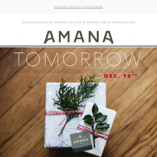 🎁 1 DAY LEFT for GUARANTEED delivery before Christmas! 🎄 Order TODAY! at amanashops.com!