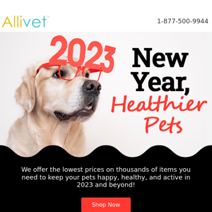 🎉 Give Your Pet a Healthy Start in 2023!