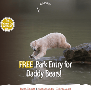 FREE park entry for Daddy Bears 🐻‍❄️