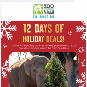 12 Days of Ho-Ho-Holiday Deals!
