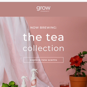 NEW: Tea Collection 🍵🌺