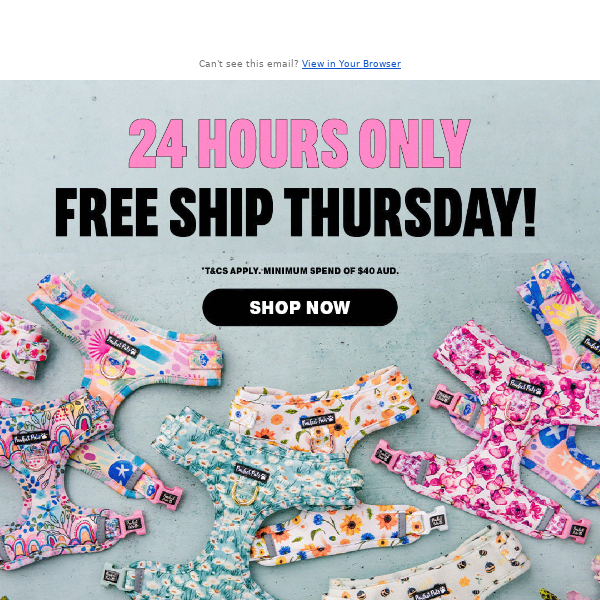 FREE SHIPPING when you order today! 📦🤩⚡