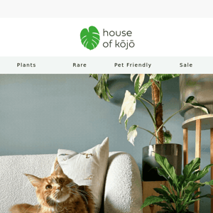 Purrfectly Pet-Friendly Plants 🌿 🐾