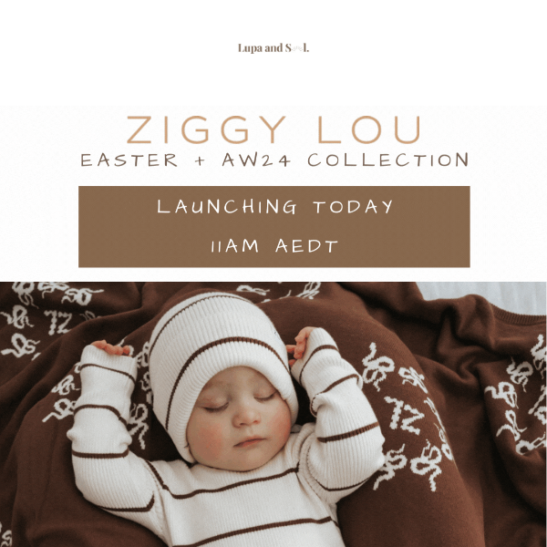 11AM AEDT TODAY ~ NEW ZIGGY LOU