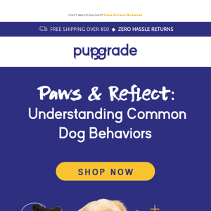 5 Common Doggy Behaviors Explained! 🐶