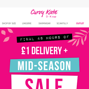 Curvy Kate, hurry! Final 48 hours of SALE!