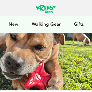 Is your dog a super chewer? You need these toys
