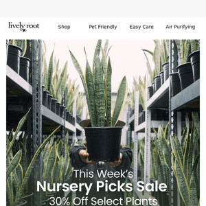 This Week's Nursery Picks: 30% Off Select Plants